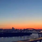 moaの画像
