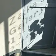 たろの画像