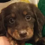 りっこ@