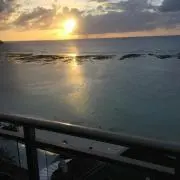 新八の画像