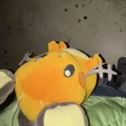 カナデの画像