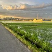 hgzの画像
