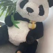 どんどんの画像