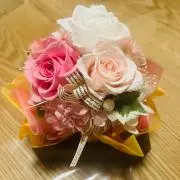 Achanの画像