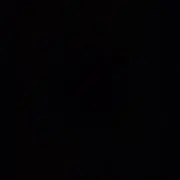 Y 24