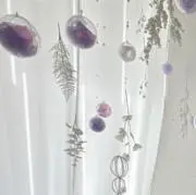 かめの画像
