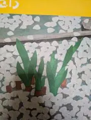 tの画像