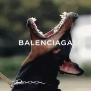 ブランド