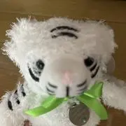 ジャグメロの画像