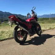 ミズの画像