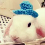 もも☆彡