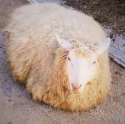 ユウスケ