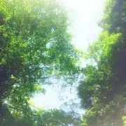 ふじこ