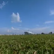 いづる