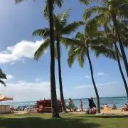 hoku☆の画像