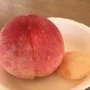 Ｓｕｍ．プロフ必読の画像