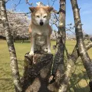 JUN_BETAの画像