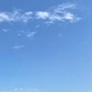 わわわ　プロフ必読の画像