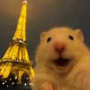 YCeの画像