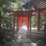 れんの画像