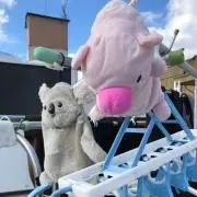 amplの画像