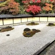 みずきの画像