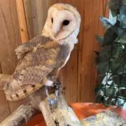 ❤︎ラ❤︎の部屋の画像