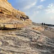 海