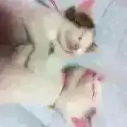 MOの画像