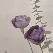 a プロフ必読の画像