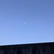 安いものが好きの画像