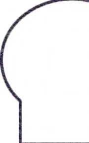 IPAPO