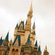 Pikaの画像