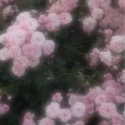 Chun♡の画像
