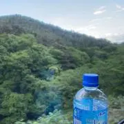 まりっしゅ。