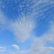 ☆花☆プロフィール必読くださいね☆の画像
