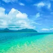 発送数日かかる場合があります★の画像