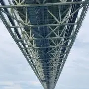 キンの画像