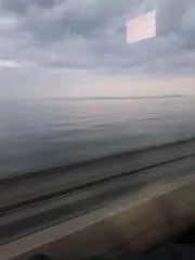 爆睡中毒者