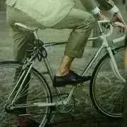 さくの画像