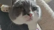 Tonyの画像