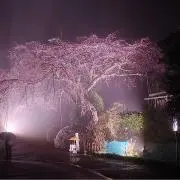 いがいが