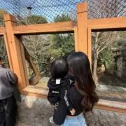 あの画像