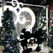 misoの画像