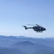 AA