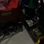 もらの画像