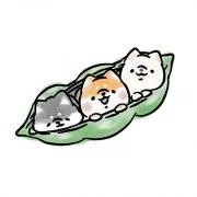 wanwankoの画像