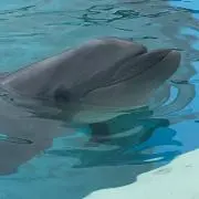 maaamiの画像