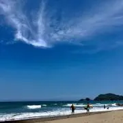 ももの木の画像