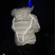 への画像